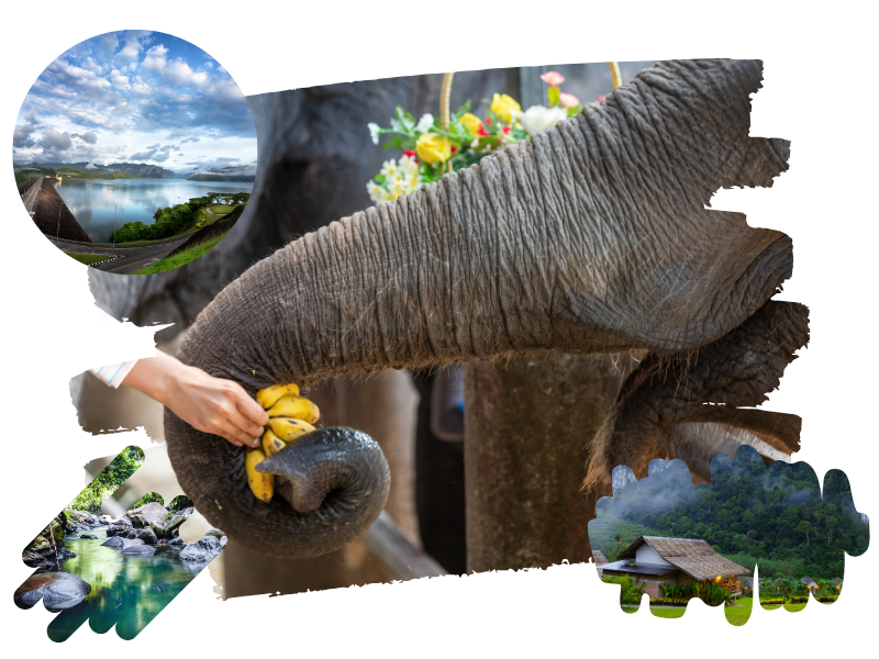 Khaosok Elephant care & Little Amazon